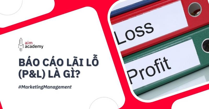 Báo cáo P&L là viết tắt của từ gì?