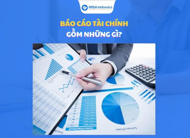 Mẫu báo cáo tài chính tiếng Anh: Ví dụ thực tế về bảng cân đối kế toán và báo cáo kết quả hoạt động kinh doanh