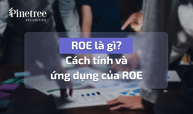 Phân tích chỉ số ROE