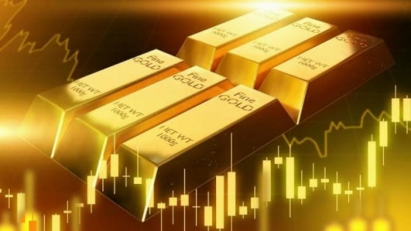 Biểu đồ thể hiện sự biến động giá vàng Mi Hồng hôm nay và trong ngắn hạn
