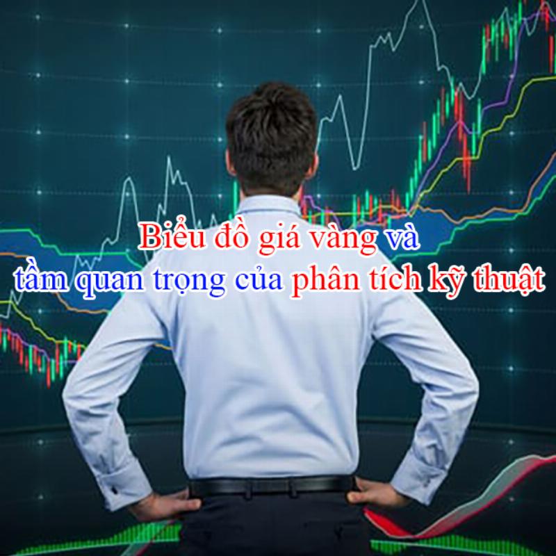 Biểu đồ hoặc hình ảnh minh họa sự chênh lệch (spread) giữa giá mua vào và bán ra của vàng tại Cà Mau.