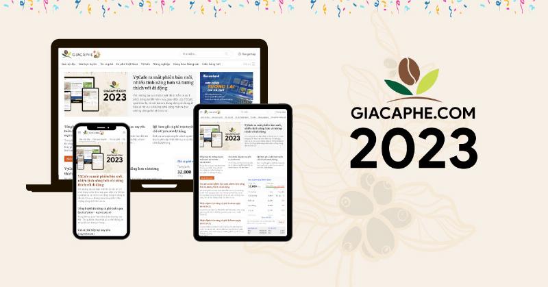 Biểu đồ giá vàng 1 chỉ hôm nay cập nhật mới nhất từ các thương hiệu uy tín SJC, PNJ, DOJI