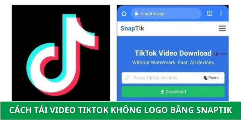 Cách Tải Video Douyin Không Logo: Bí Kíp Nhanh Chóng, Chất Lượng Cao, Cho Người Mới Bắt Đầu