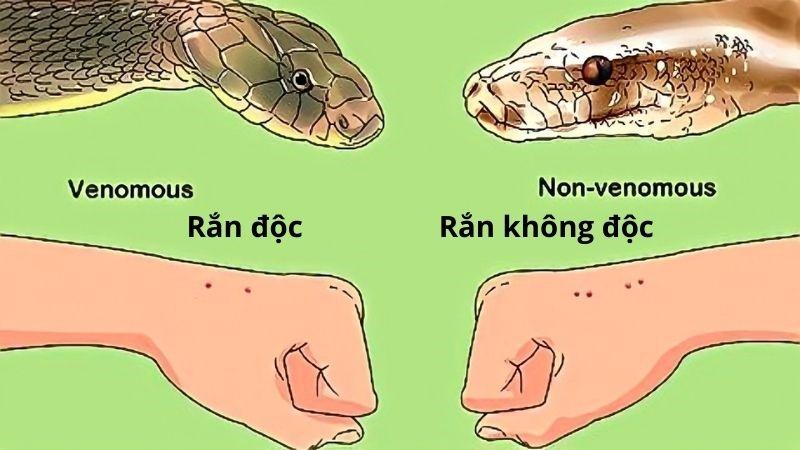 Hình ảnh một người đang dùng kính lúp hoặc nhìn kỹ vào dấu hiệu trên miếng vàng miếng, hoặc đang theo dõi sát sao quá trình cân vàng