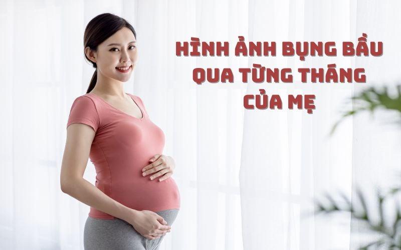 Hình ảnh minh họa lời khuyên cho người sinh 19 tháng 4