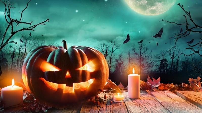 Ngày Halloween Là Ngày Mấy? Khám Phá Nguồn Gốc, Ý Nghĩa & Hoạt Động Bí Ẩn