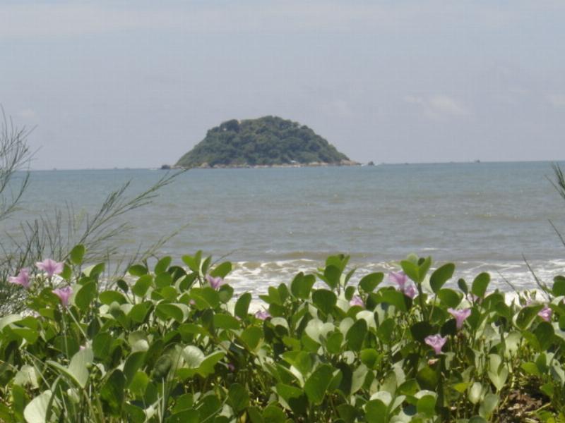 Mot doi nam nu nam tay nhau tren bai bien hoang hon voi net mat vua lang man vua day quyet tam the hien tinh yeu ngay 20 thang 3