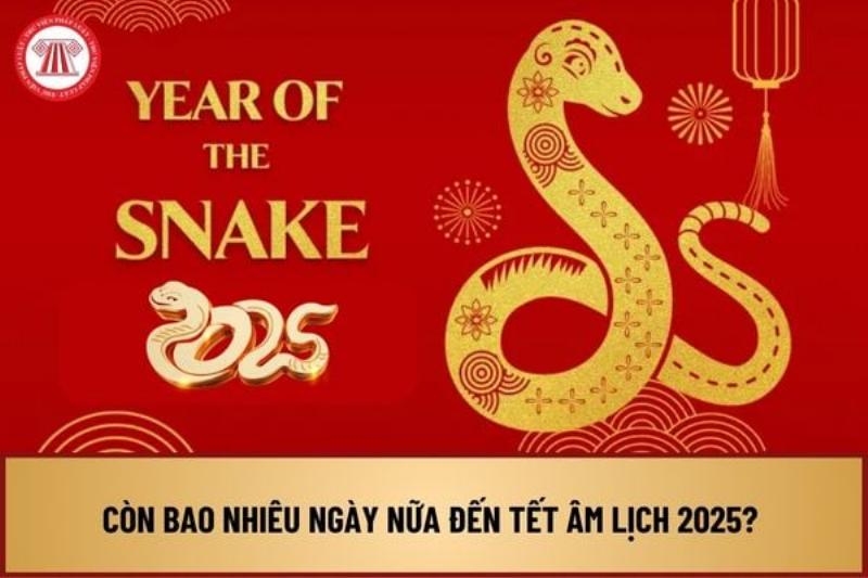 Bao nhiêu ngày nữa đến Tết 2025? Cập nhật, Chuẩn bị & Ý nghĩa