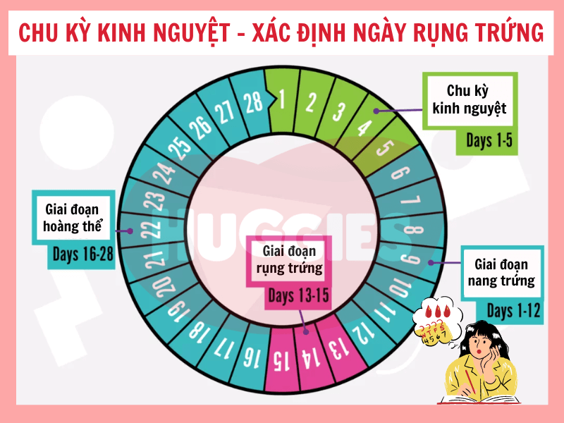 Tháng 6 cung hoàng đạo gì? Khám phá tính cách, sự nghiệp chi tiết