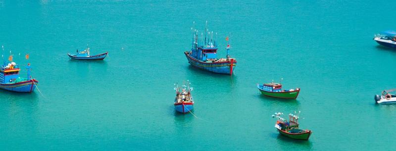 Vé Máy Bay Hà Nội Quy Nhơn: Bí Kíp Săn Giá Rẻ, Thời Điểm Lý Tưởng & Hướng Dẫn Chi Tiết Từ A-Z