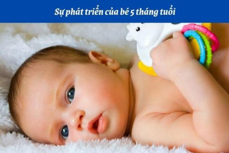 Hình ảnh minh họa một người Cự Giải (sinh tháng 6) đang ngồi suy tư bên cửa sổ, thể hiện sự nhạy cảm và chiều sâu nội tâm, có thể có yếu tố liên quan đến gia đình hoặc sự chăm sóc.