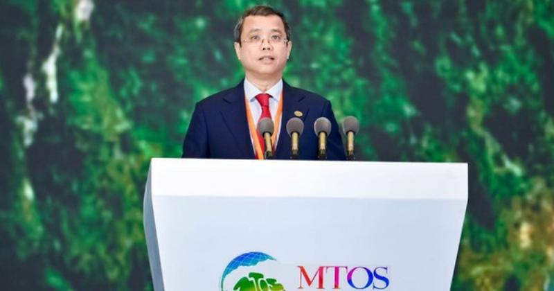 Hình ảnh tổng hợp thể hiện sự đa dạng địa hình của Việt Nam: núi non trùng điệp và đồng bằng phì nhiêu.
