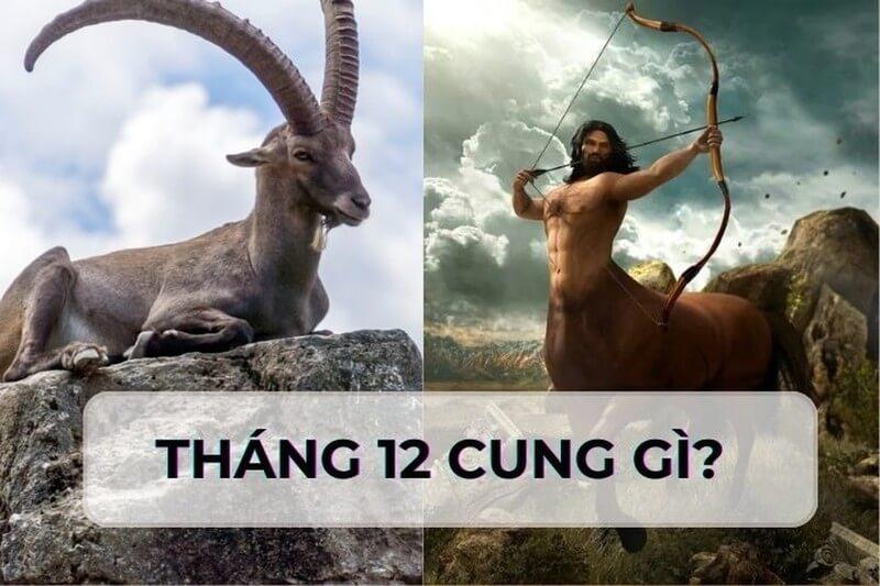 Màu sắc, con số và hoa may mắn cho người sinh ngày 4 tháng 12 cung Nhân Mã