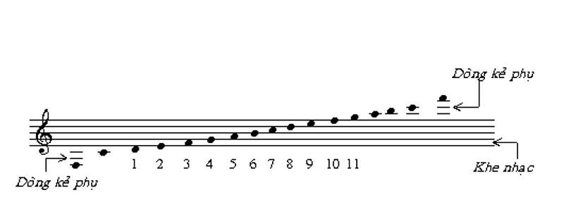 Cách nhận diện 1/2 cung trên đàn guitar qua các ngăn phím liền kề