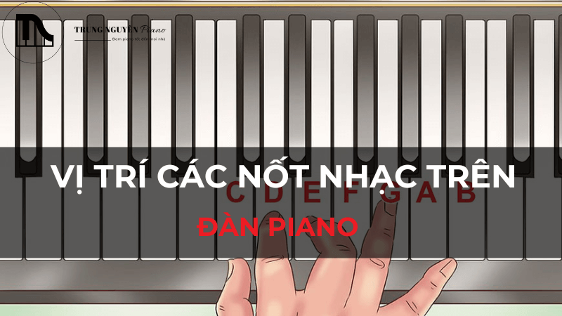 Cách nhận diện 1/2 cung trên đàn piano qua các phím liền kề